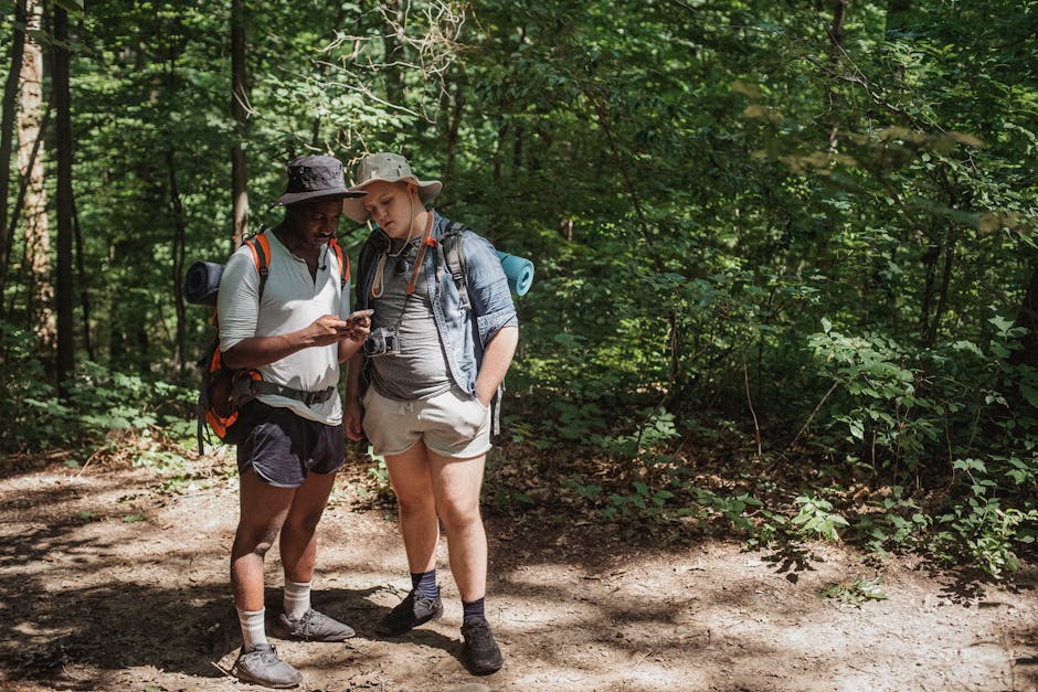 Young multiracial male travelers with rucksacks watching cellphone on pathway against greenery trees in woods