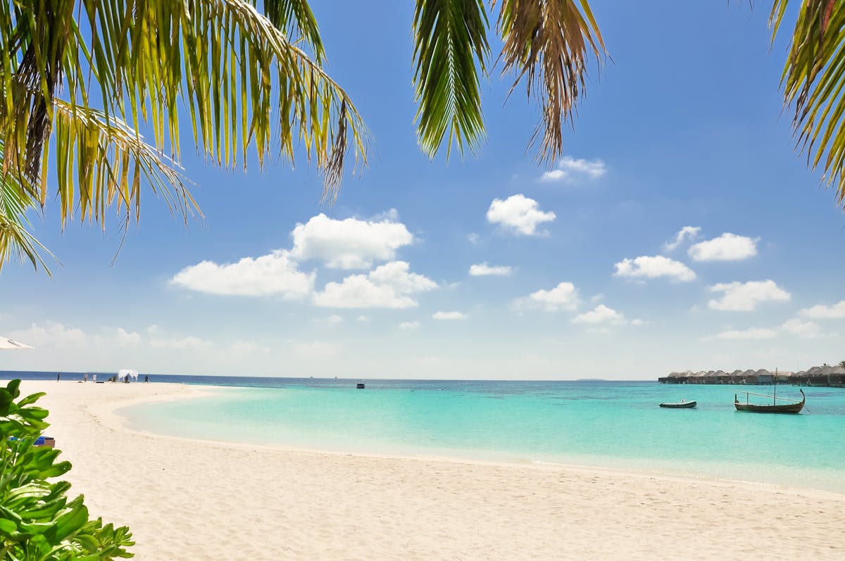 The Best Beaches in Barbados for Every Type of Traveler