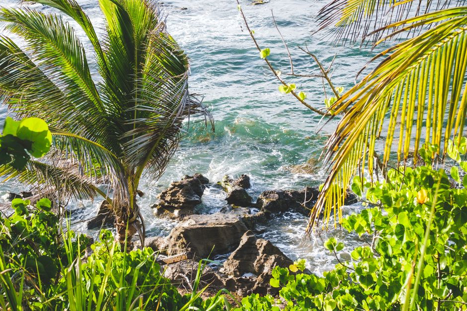 A vivid view of a tropical beach with palm trees and rocky shorelines.