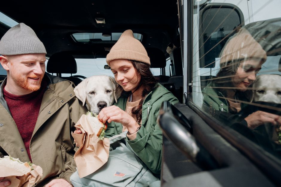 Hoseasons detail for a dog friendly lodge trip plan for easier uk breaks
