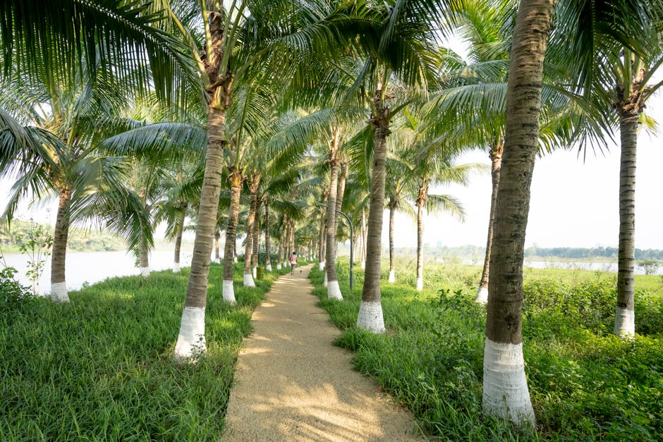 Scenery of narrow pathway between verdant palms growing on river bank in exotic lush park
