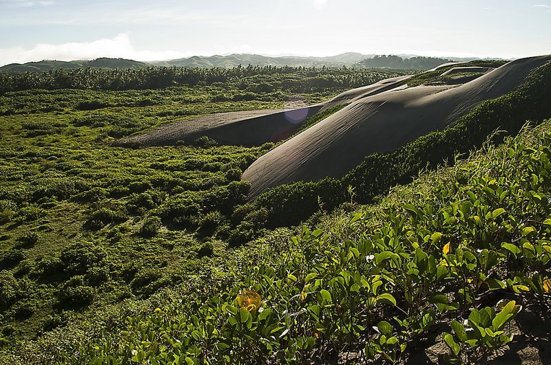 10 Unusual Things to Do in Fiji