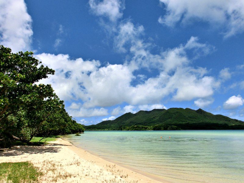 Sharing Secrets In Okinawa
