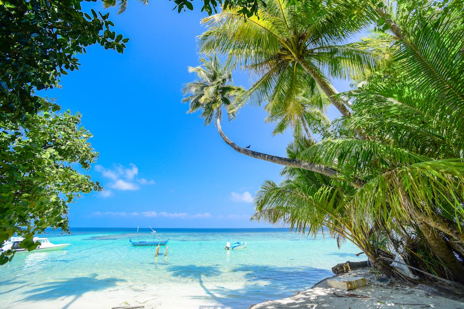 Serene tropical beach with turquoise waters and lush palm trees under a bright summer sky.