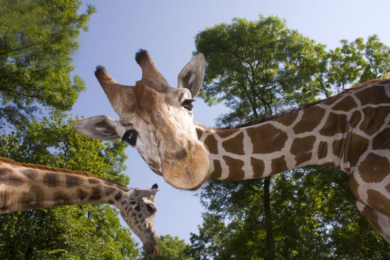 Unique Things to do in Orlando Florida