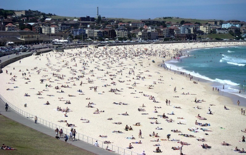 10 Great Things To Do in Sydney