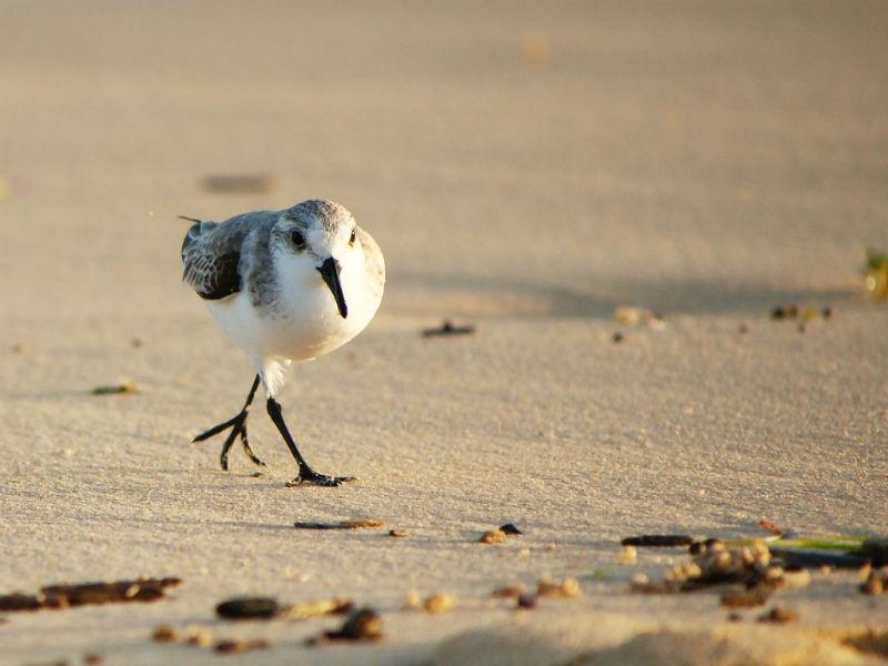 Fuerteventura Top Attractions