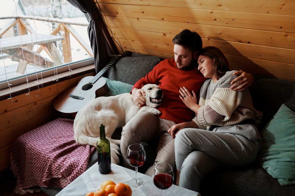A UK Cabin Weekend Base For Families And Dogs
