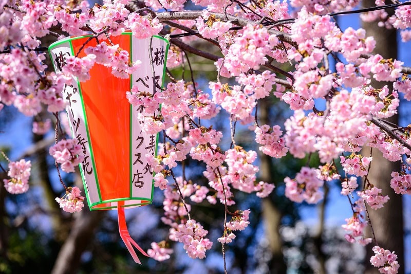 A Guide to Tokyo’s Best Neighborhoods