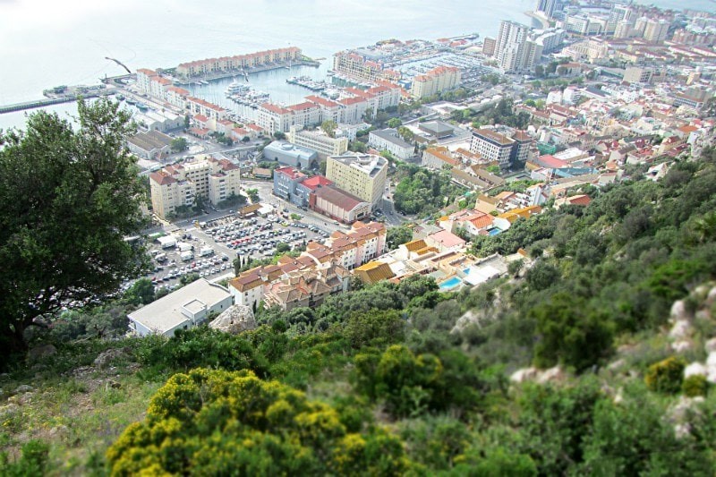 Rocking Gibraltar and Wrestling Monkeys